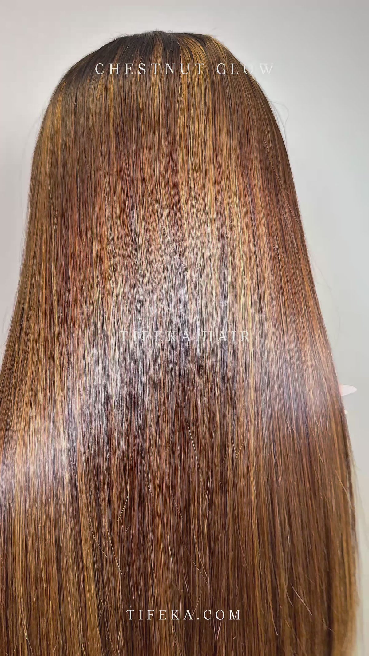 Chestnut Glow